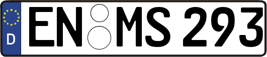 EN-MS293