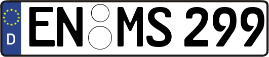 EN-MS299
