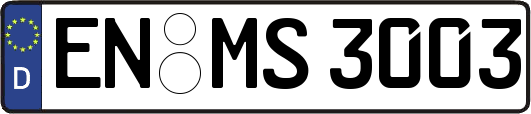 EN-MS3003