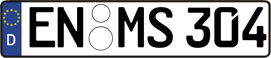 EN-MS304