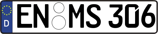 EN-MS306