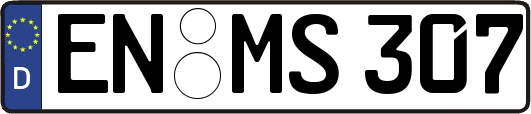 EN-MS307