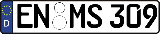 EN-MS309