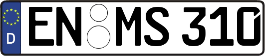 EN-MS310