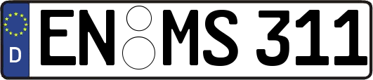 EN-MS311