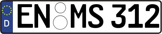 EN-MS312