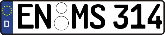EN-MS314