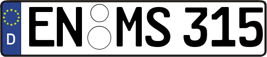 EN-MS315