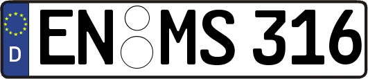 EN-MS316