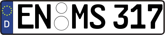 EN-MS317