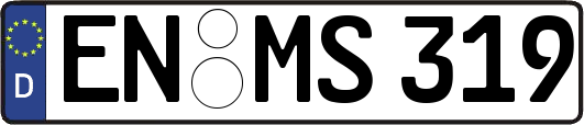EN-MS319