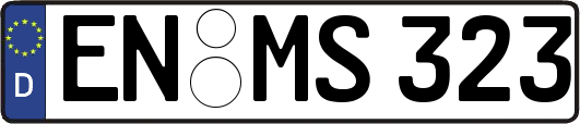 EN-MS323