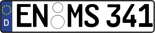 EN-MS341