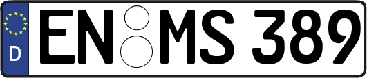 EN-MS389