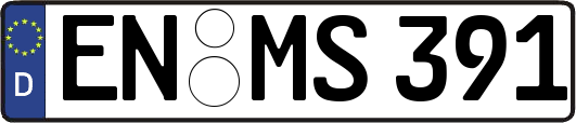 EN-MS391