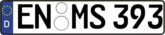EN-MS393