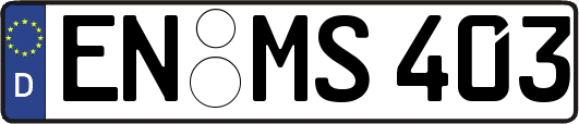 EN-MS403