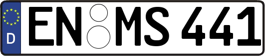 EN-MS441