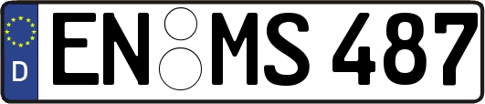 EN-MS487