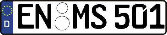 EN-MS501