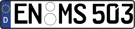 EN-MS503