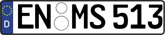 EN-MS513