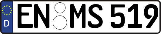 EN-MS519