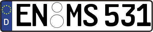 EN-MS531