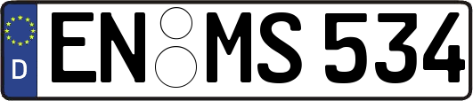 EN-MS534