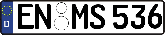 EN-MS536