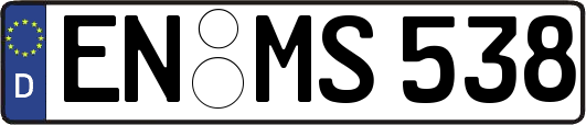 EN-MS538