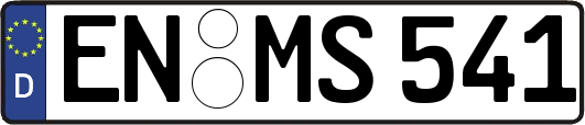 EN-MS541