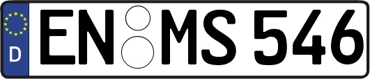 EN-MS546