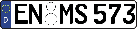 EN-MS573