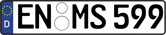 EN-MS599