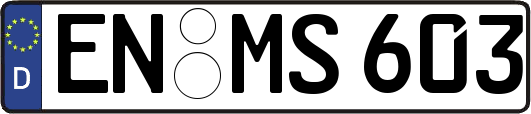 EN-MS603