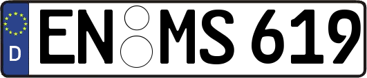 EN-MS619