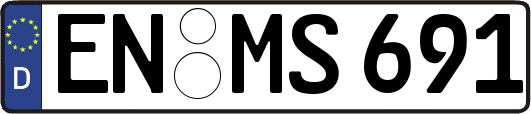EN-MS691