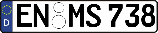 EN-MS738