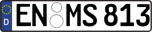 EN-MS813