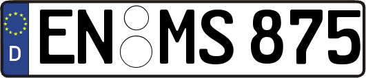 EN-MS875