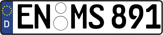 EN-MS891