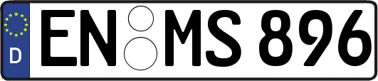 EN-MS896