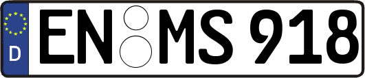 EN-MS918