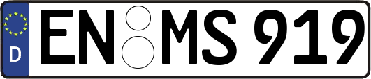 EN-MS919