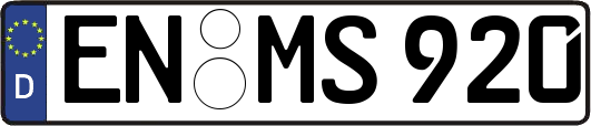 EN-MS920