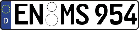 EN-MS954