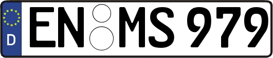 EN-MS979