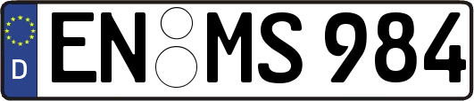 EN-MS984