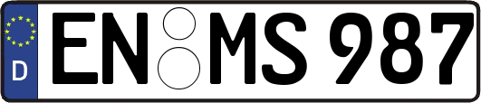 EN-MS987